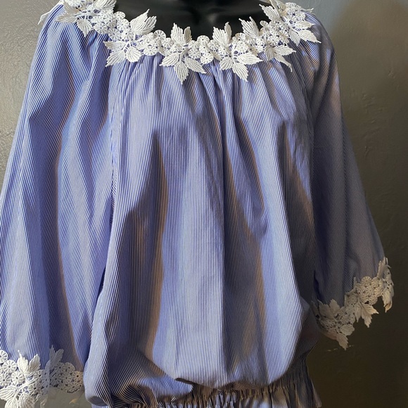 NWOT BEDFORD FAIR Blue and White Pinstripe Cotton Embroidered Trim Blouse - Picture 15 of 16